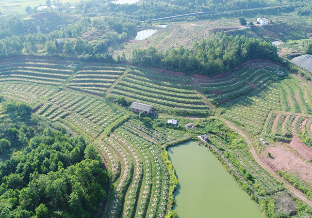 基地风采